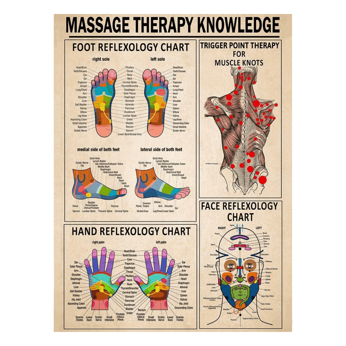 InkFlow Reflexology & Massage Therapy Poster - Infographic & Typography Art - Educational Wall Decor for Living Room, Office or Therapy Room - 8x10 Unframed Wall Art - Infinity Beyond Crafts