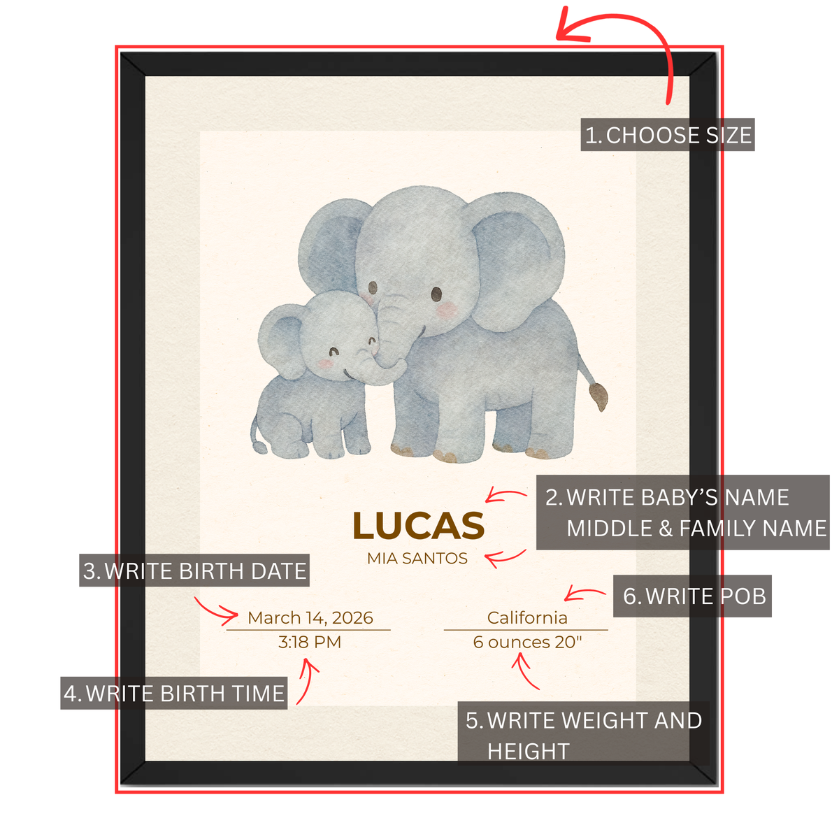 Personalized baby elephant birth stats print guide showing where to add baby name, birth date, time, birthplace, weight and height